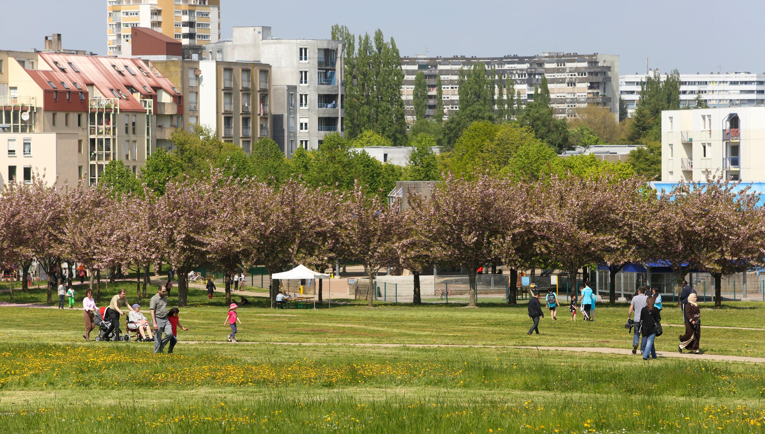 Ateliers citoyens de la Ville de Besançon - Projet n°4 : Faire du parc  urbain de Planoise un lieu de vie pour tous